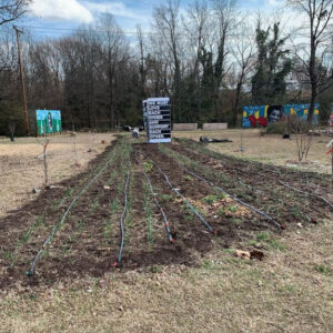 Sankofa Community Orchard Field Trip 2022