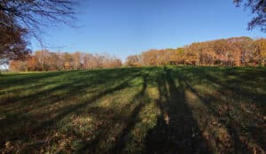 Long shadows loom over green grassy fields in the foreground of tree line on Cherrywood property in Hanover County