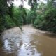 Why paying attention to small streams matters in the big picture of Potomac River water quality