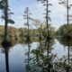 Conservation Notes from the Field