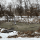 Potomac Conservancy submits joint public letter calling on DC Water for answers and action for the massive Potomac sewage spill
