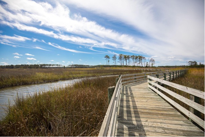 Ragged Island WMA