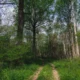 Survey says: The top 3 environmental concerns from our easement owners