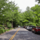 Need more shade? Here’s how tree equity is paramount in the face of the climate crisis and rising temps
