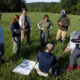 From Fields to Flight: Protecting Grassland Birds
