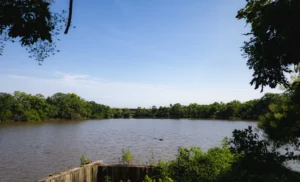 Anacostia+