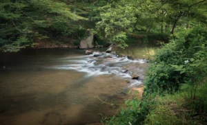 Seneca+creek+ +john+brighenti+cc+by+2 0