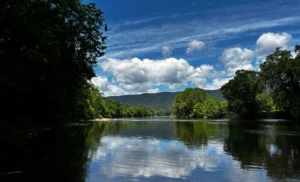 Shenandoah+