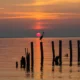 Potomac Conservancy’s statement on President Trump rescinding Chesapeake Bay Executive Order