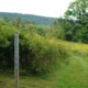 Discover Sweet Run this fall season, one of our conservation easements, and your new favorite State Park!