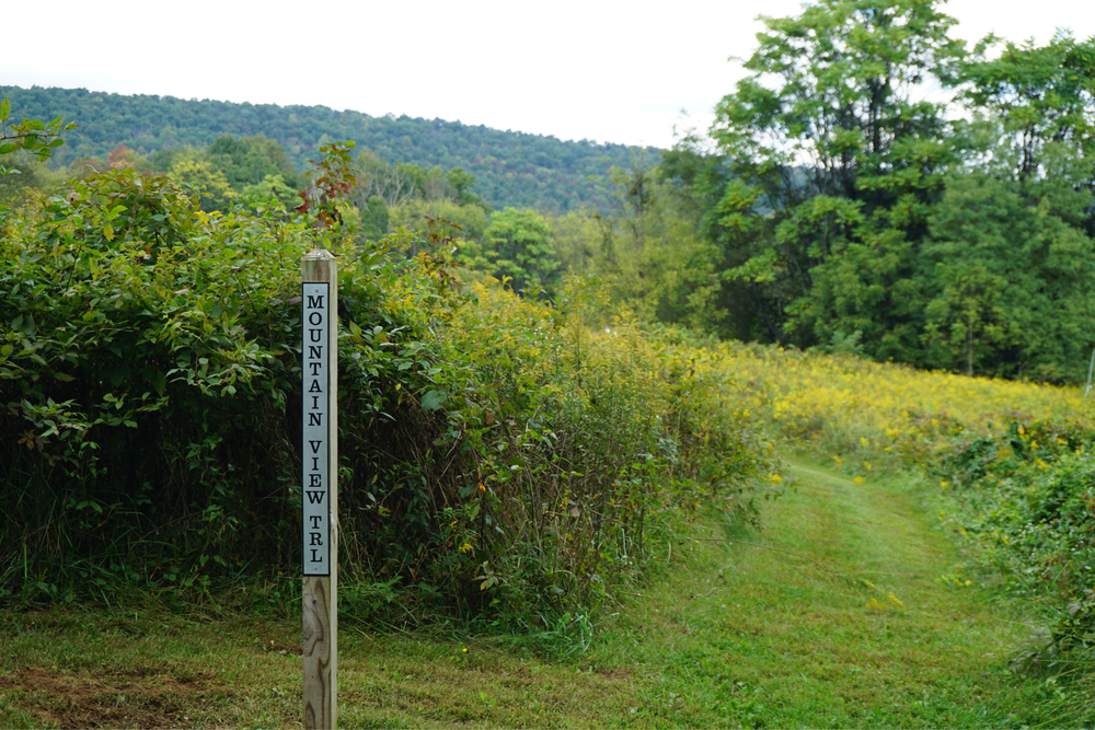 Mountaintrailsign