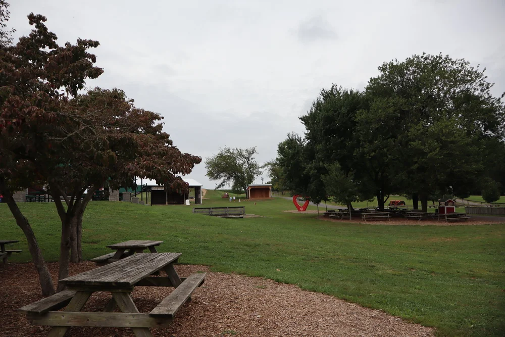 outdoor lawn space.JPG
